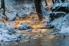 Winterstimmung im Silberbachtal