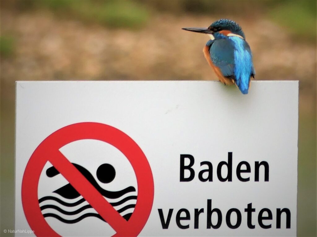 "Baden verboten!" © Hans-Jürgen Schalski