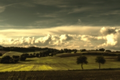 KN_Portfolio-1-4