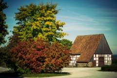 westfaelisches-freilichtmuseum-detmold-11