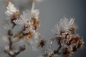 Baumschmuck, Öko und recyclebar