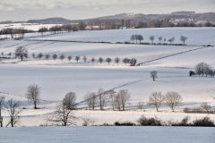 Blick vom Kleeberg im Januar 2024 © Renate Mahnert