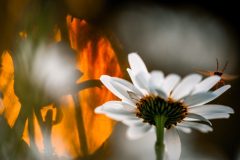 © Karsten Höhne