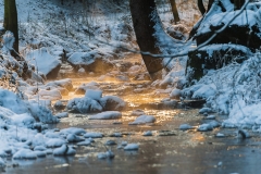 Zauberhaftes Sonnenlicht an einem kalten Wintertag am Silberbachtal – © Gerhard Tegeler