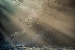 Licht und Schattenspiel