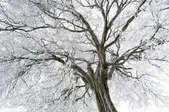 Winterlandschaft