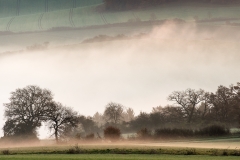 Nebel-zieht-durchs-Tal