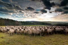 Sturm-auf-dem-Bromberg