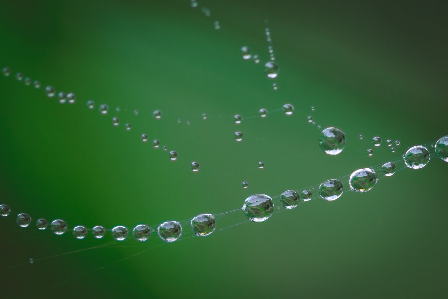 Wassertropfen als Perlenschnur - © Thomas Häusler