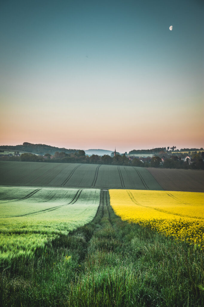 © Karsten Höhne