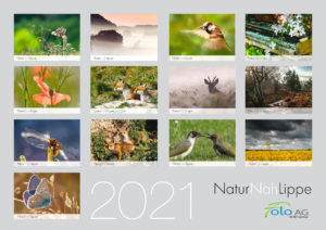 NaturNahLippe 2021